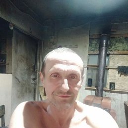 , 56, 