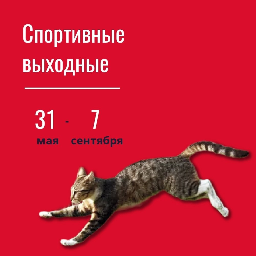     .          ... - 9