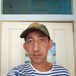  , 38 , 