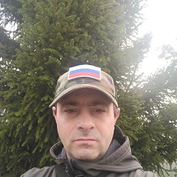 , 40, 