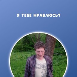 , 54 , 