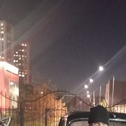 , 54 , 