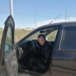 ���, ���������, 66 ���