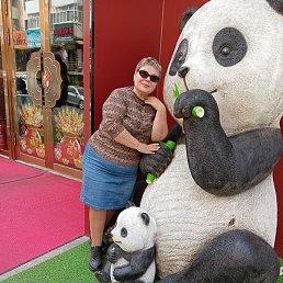 , 54, --