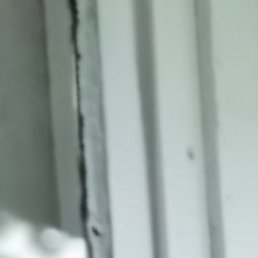 ., , 51 