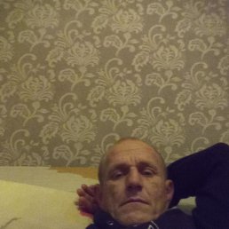 ���������, 41 ���, ��������