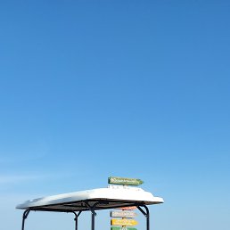 , 57, 