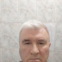 , 66, 