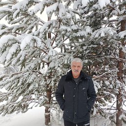 ����, 56 ���, ������