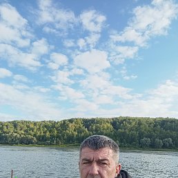 , 49 ,  
