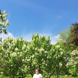 ���� Tamara, �����, 63 ���� - ��������� 25 ���� 2026