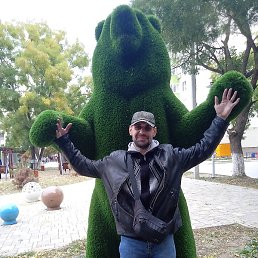 ����, �����, 39 ���