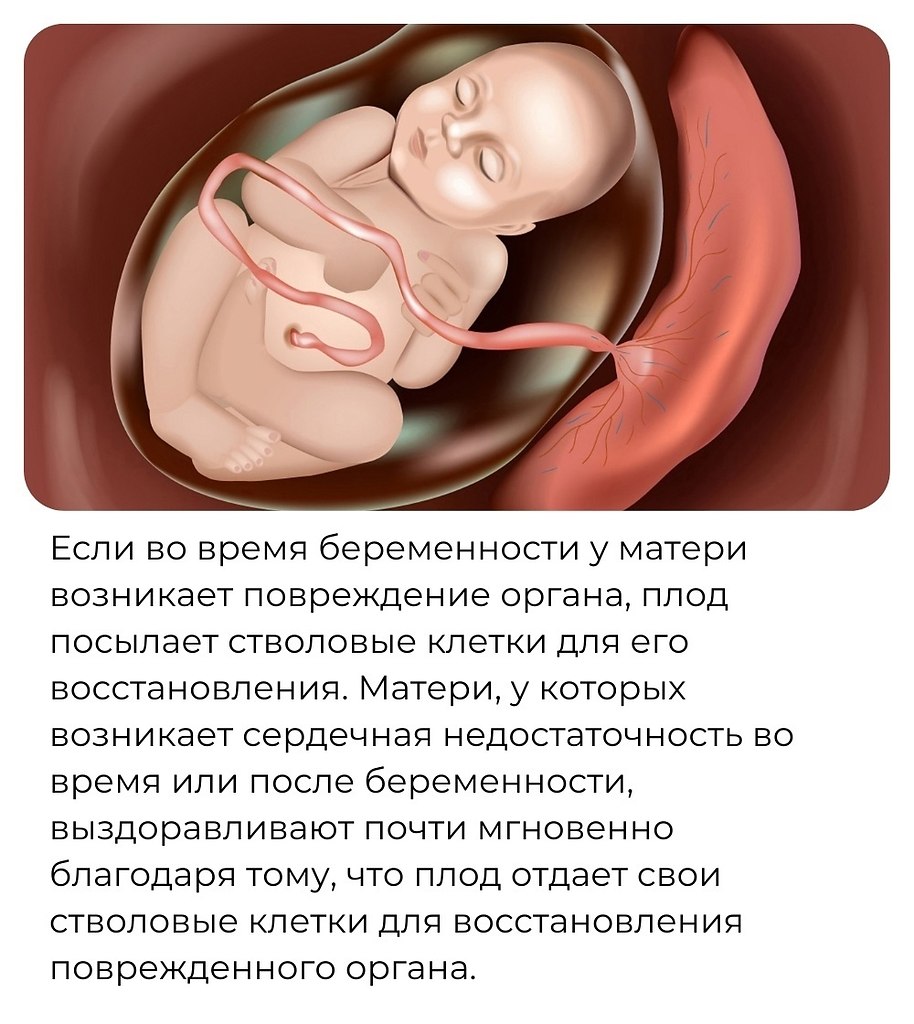Discovery - 30 ������ 2025 � 09:30