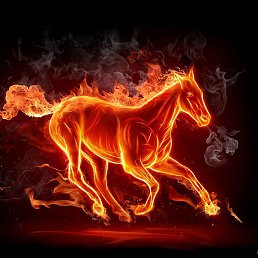 �����, ������, 47 ���