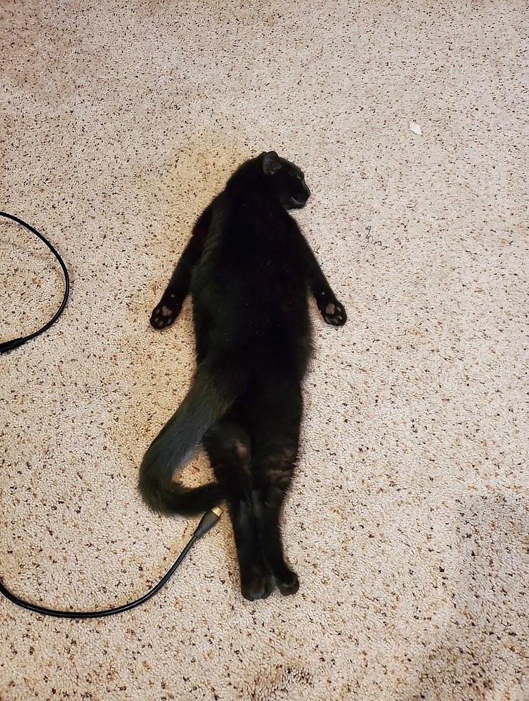  -      ,   .    , ... - 2