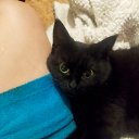 ���� ��������, ����, 39 ��� - ��������� 13 ������ 2025 � ������ ������ ��������