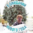 ���� ����, ������ �������� - ��������� 20 ������� 2024 � ������ ���� ����������