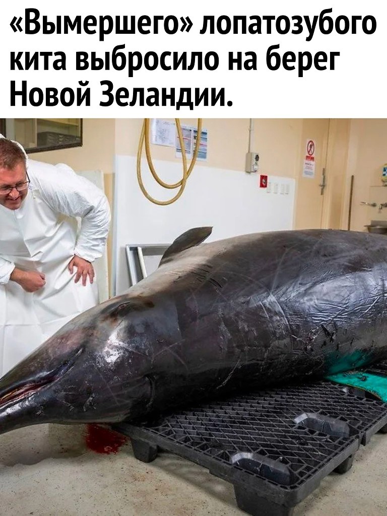   ? - 8  2024  10:32