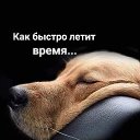 ���� ������, �������� - ��������� 12 �������� 2025 � ������ ������ ��������