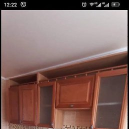 ������, �����������, 41 ���