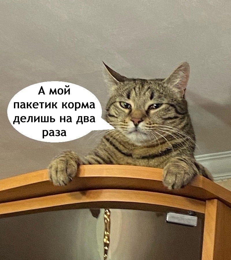    ... - 3