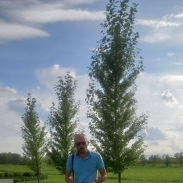 �����, �����������, 44 ����