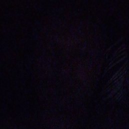 ������� ���������, ������, 36 ���