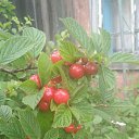 ���� Irina, ������, 36 ��� - ��������� 6 ������� 2024 � ������ ���� ����������