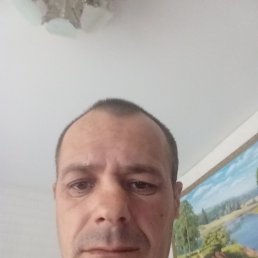 , 40, 