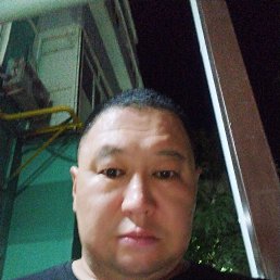 , 41, 