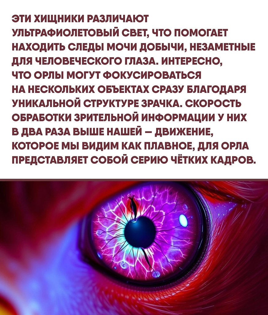  Just Business - 13  2025  12:35 - 3