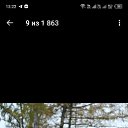  , , 54  -  9  2024    