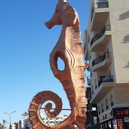 �����, ������