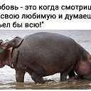 ���� ����, �����, 58 ��� - ��������� 21 ������ 2026 � ������ ������ ��������