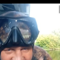 ������, ������, 84 ����