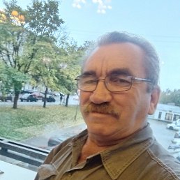 , 61, 