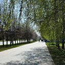 ���� ������, ����������, 60 ��� - ��������� 26 ������� 2025 � ������ �������� � �����