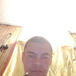 , 37, 