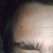, 36 , 