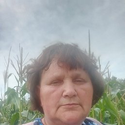 , 62, 
