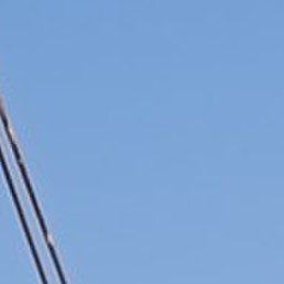 , , 52 