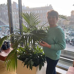 �����, �����-���������