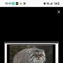 ���� ����, �����-���������, 37 ��� - ��������� 20 ������� 2026