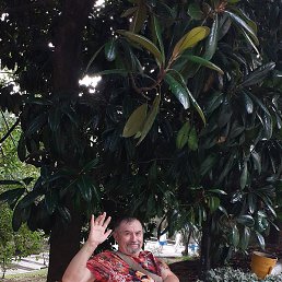 �����, �����������, 65 ���