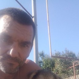 ���� ������, ������, 49 ��� - ��������� 14 ���� 2024