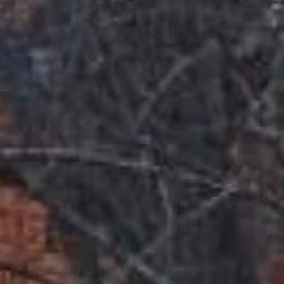 ������, ������, 68 ���