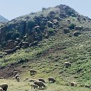  , , 65  -  15  2024   .