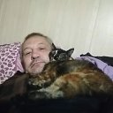 ���� ����������, ����, 49 ��� - ��������� 29 ������ 2025 � ������ ���� ����������