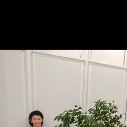 , 43, 
