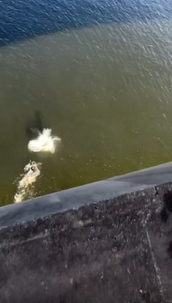 ���������� ������ �������� ������!